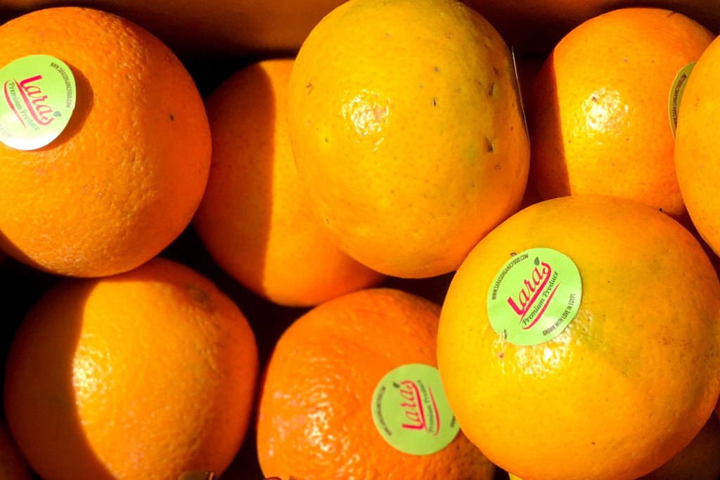 Navel Oranges from Lara´s Premium Produce by Sara´s Organic Food