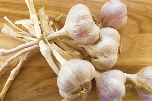 Dry Garlic from Laras Premium Produce by Saras Organic Food