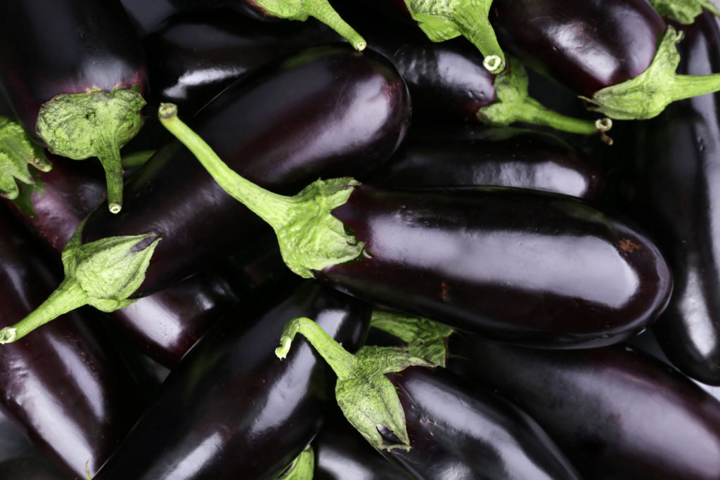 Organic Eggplant from Sara´s Organic Food