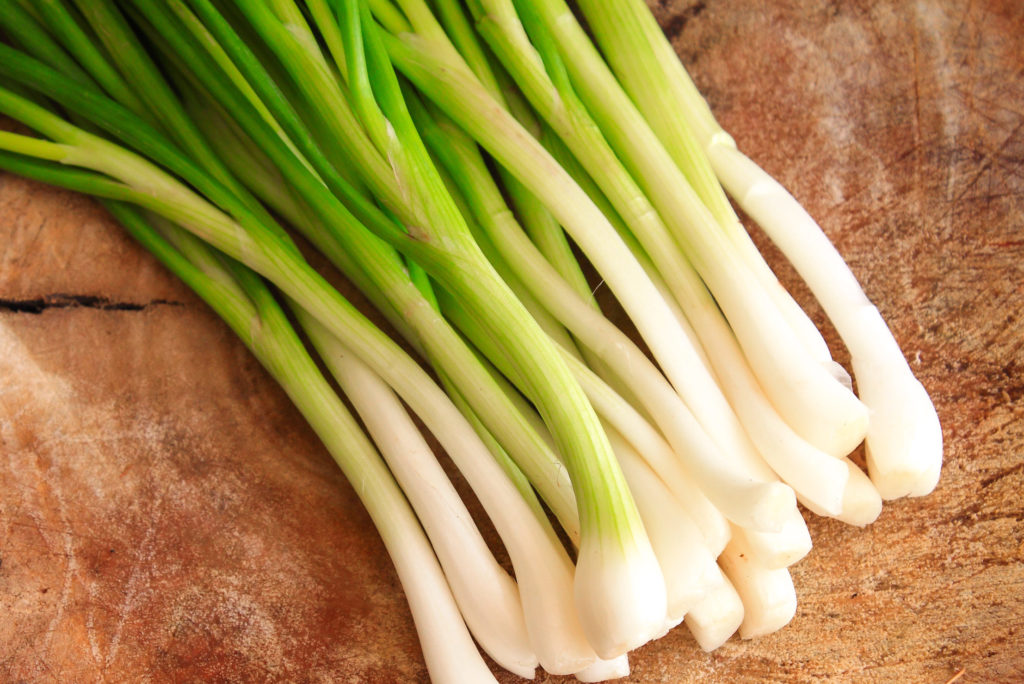 Spring Onions from Sara´s Organic Food