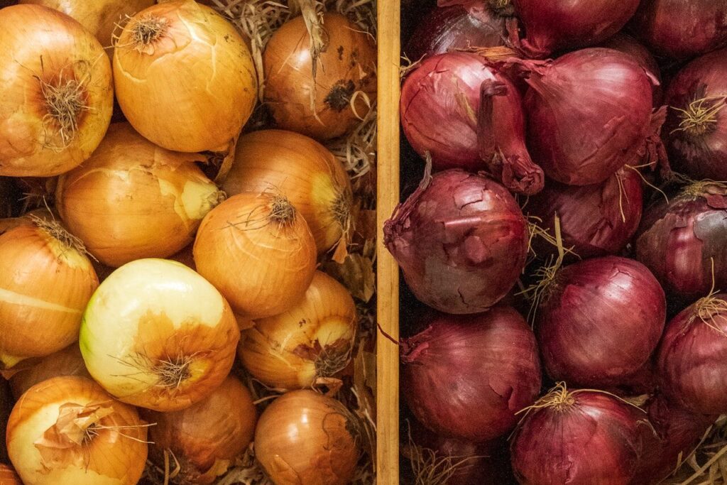 Sara´s Organic Golden and Red Onion Box