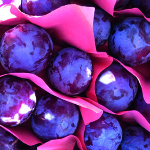 Plums from Lara´s Premium Produce by Sara´s Organic Food