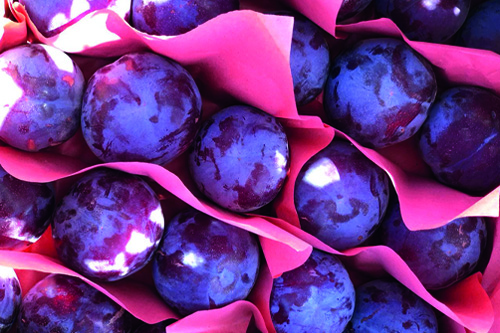 Plums from Lara´s Premium Produce by Sara´s Organic Food