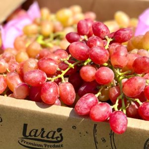 Crimson Red Grapes Box by Lara´s Premium Produce