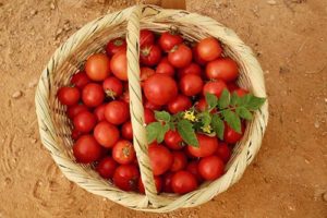 Organic Tomatoes - 500 gm