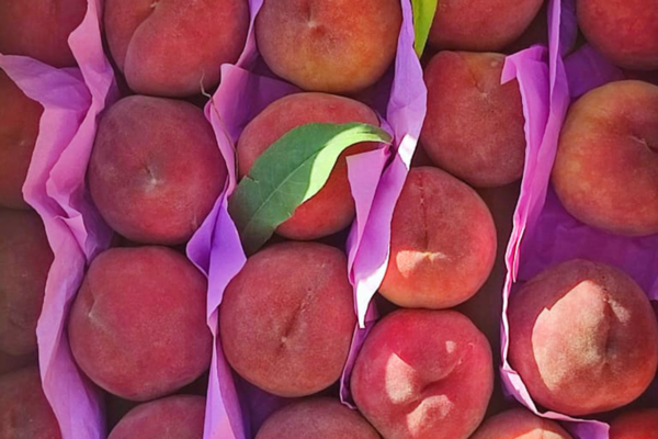 Peach Box - 4 kg