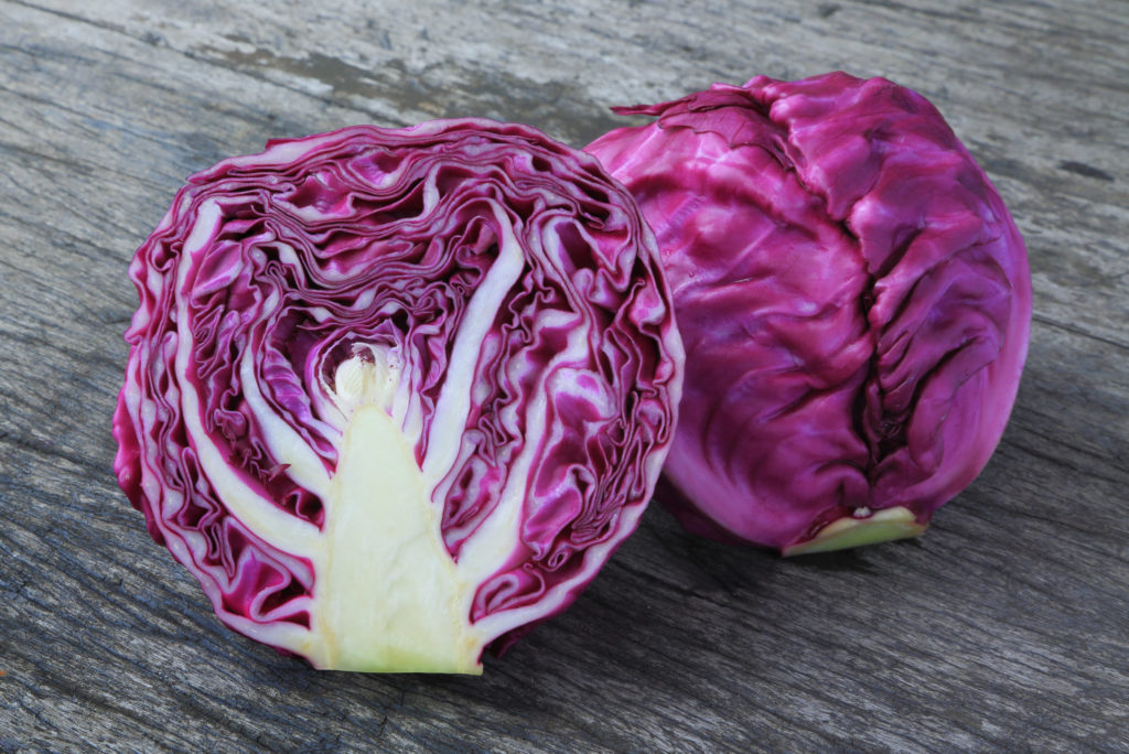 Red Cabbage on wooden table from Sara´s Organic Food