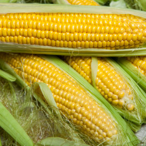 Organic Sweet Corn from Sara´s Organic Food